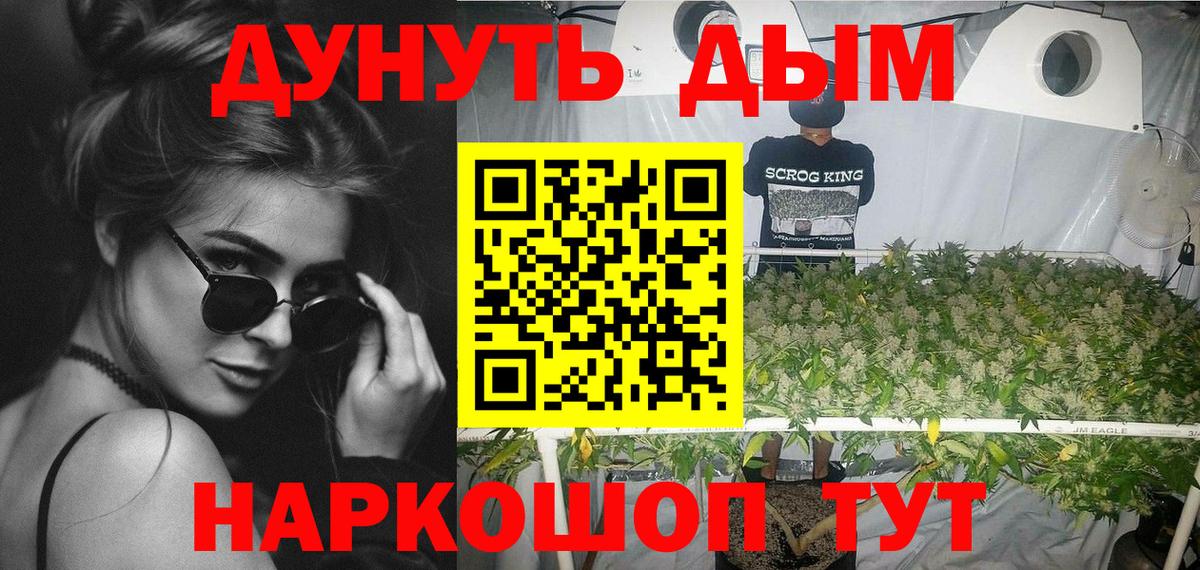 Каннабис OG Kush Братск